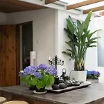 Cozy Studio Paris 14e